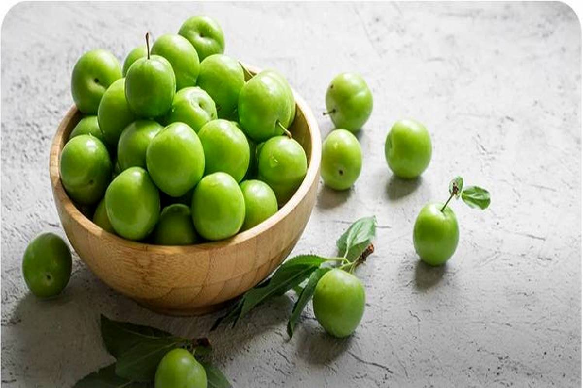 این نوبرانه بهاری اسید معده را بهم می‌ریزد 