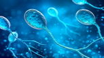 تقویت اسپرم ضعیف، طب سنتی