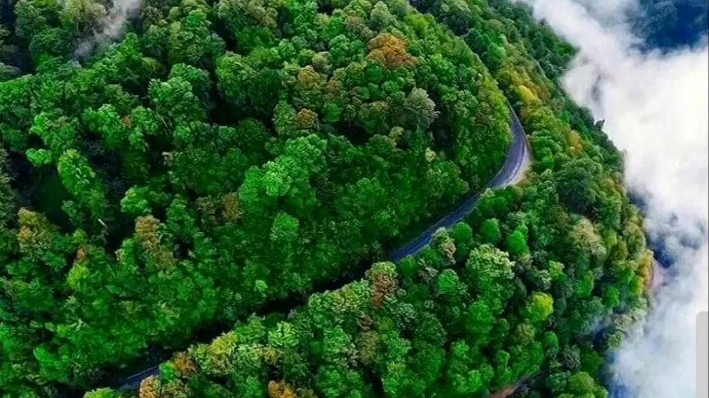 فوتبالیست مشهور در جنگل های شمال قصر می سازد!