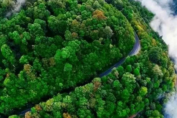 فوتبالیست مشهور در جنگل های شمال قصر می سازد!