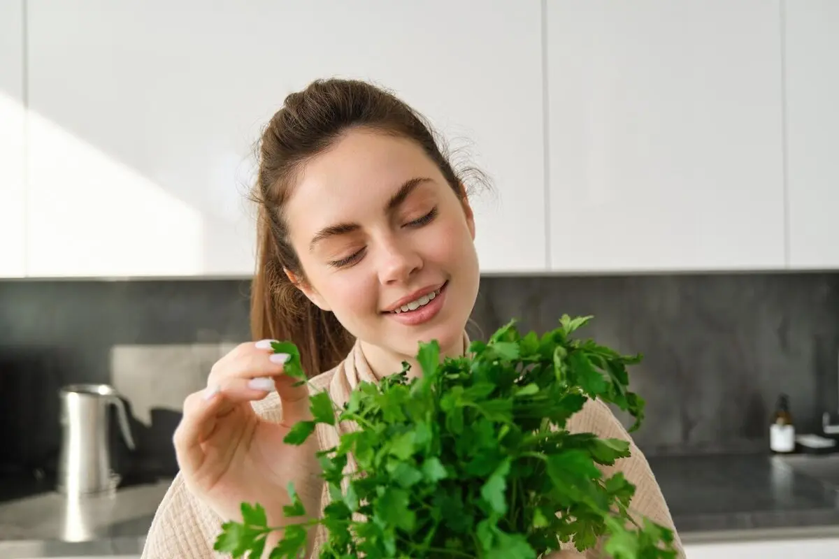 ترفندهای نگهداری از نعناع تازه/همیشه نعناع تازه داشته باش