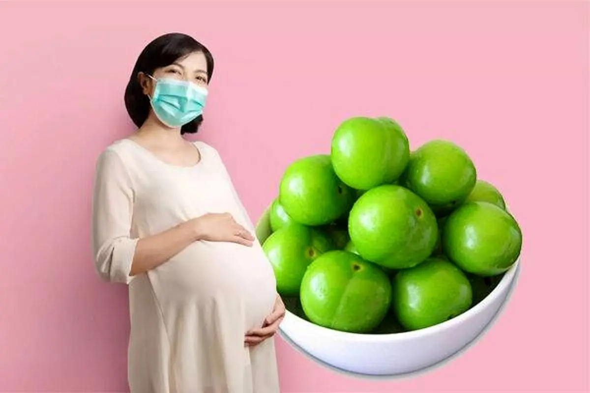 گوجه سبز برای زنان باردار مفید است یا مضر؟
