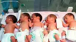 اتفاق کم‌سابقه در تبریز؛ تولد همزمان پنج نوزاد پسر