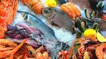 بهترین و بدترین غذاهای دریایی برای سلامتی شما