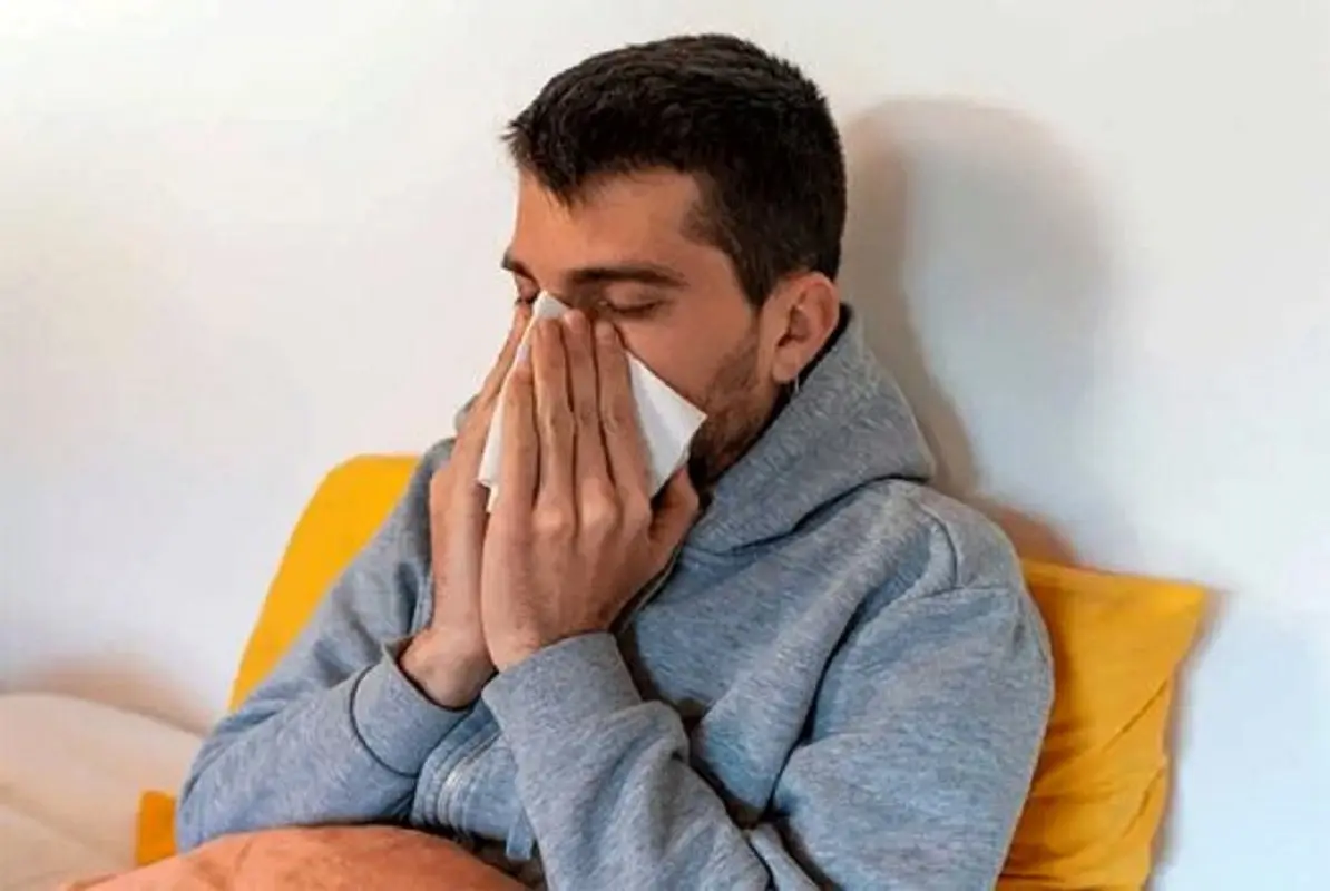 خواص بی‌نظیر برگ این درخت برای تب و سرماخوردگی