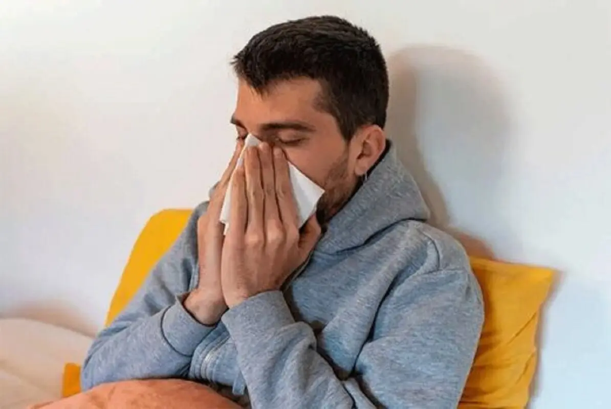 خواص بی‌نظیر برگ این درخت برای تب و سرماخوردگی