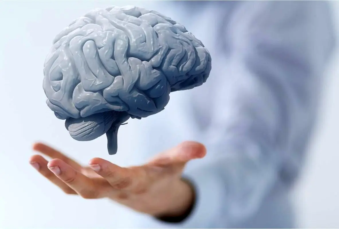۳ نیاز اساسی مغز را بشناسید