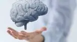 ۳ نیاز اساسی مغز را بشناسید 