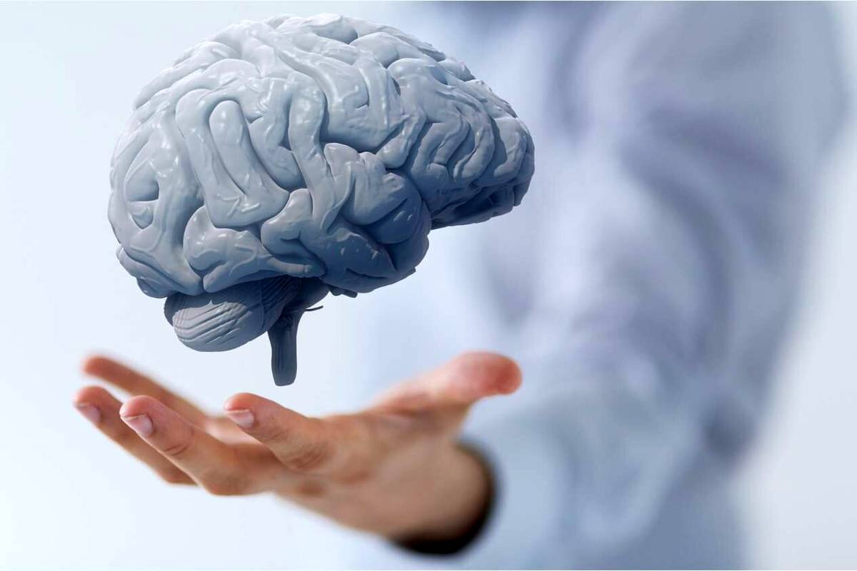 ۳ نیاز اساسی مغز را بشناسید