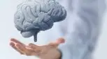 ۳ نیاز اساسی مغز را بشناسید 