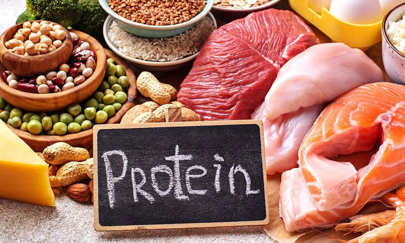 پروتئین گیاهی یا پروتئین حیوانی؛ برای مدیریت وزن چه بخوریم؟