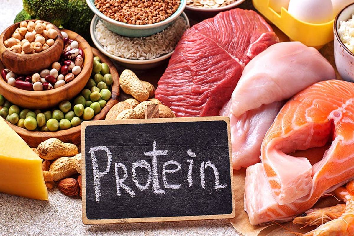 پروتئین گیاهی یا پروتئین حیوانی؛ برای مدیریت وزن چه بخوریم؟