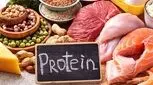 پروتئین گیاهی یا پروتئین حیوانی؛ برای مدیریت وزن چه بخوریم؟