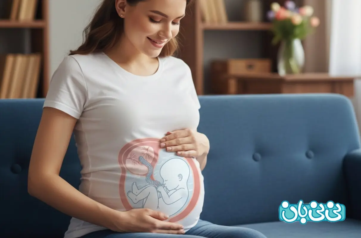 بهترین موقعیت جفت در بارداری، چگونه است؟
