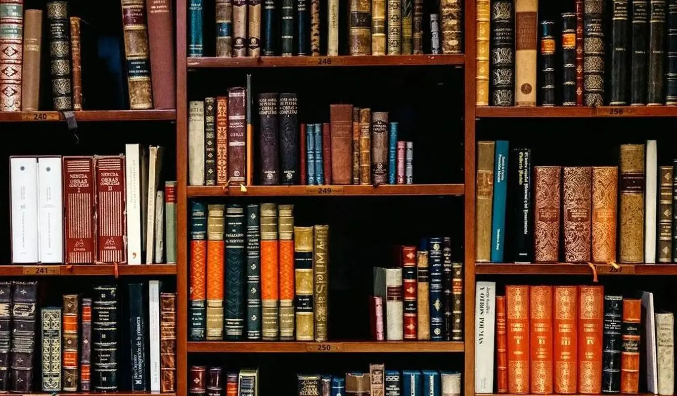 تعبیر خواب های ما از کجا می آید؟ 