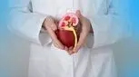 ۵۰ ساله‌ها بخوانند/ از کیست کلیه چه می‌دانید؟
