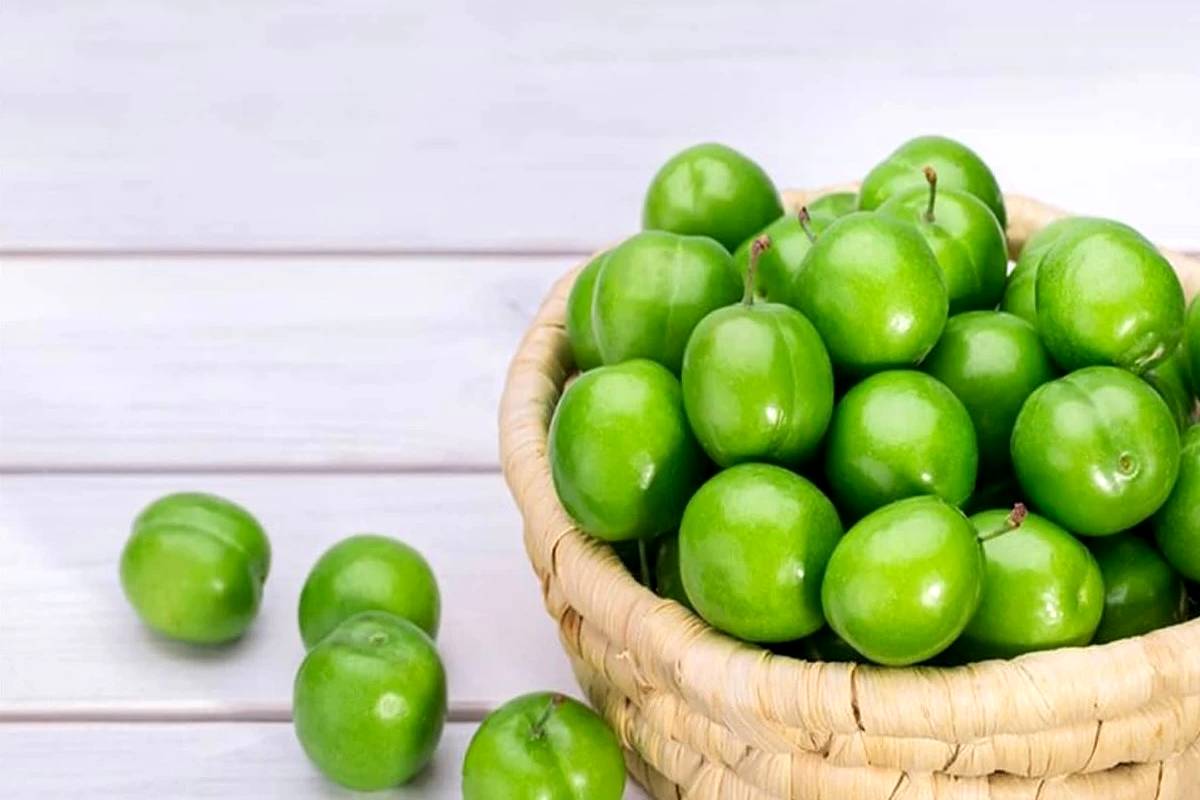 تاثیر این نوبرانه بهاری در کاهش استرس و افسردگی 