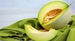 «ملون» تراریخته نداریم/ با خیال راحت بخورید

