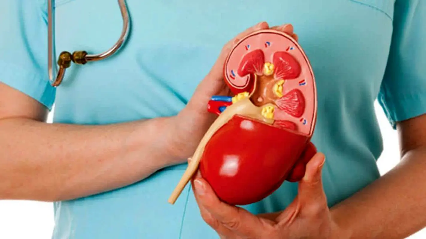 مراقبت درست از کلیهها را یاد بگیریم