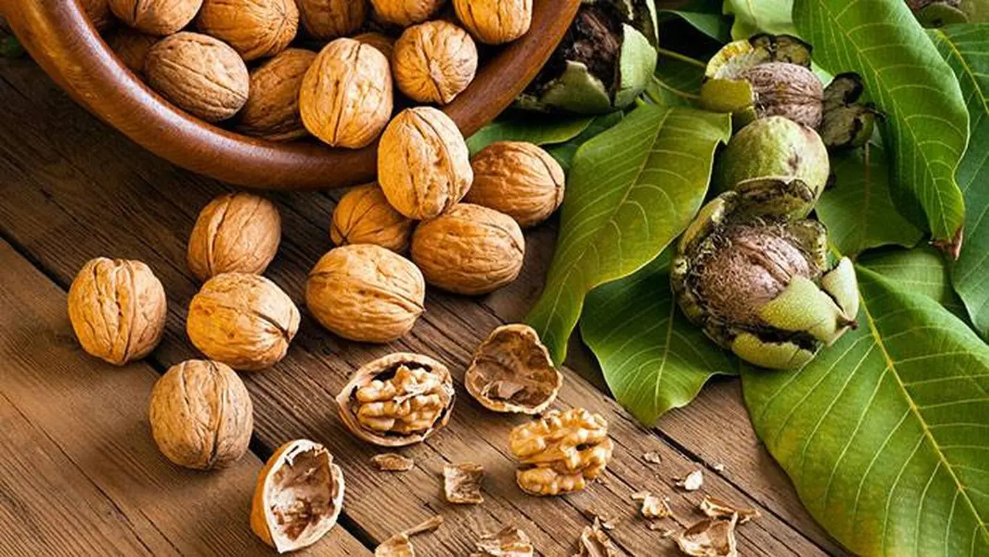 این میوه از پیشرفت سرطان روده بزرگ جلوگیری می‌کند
