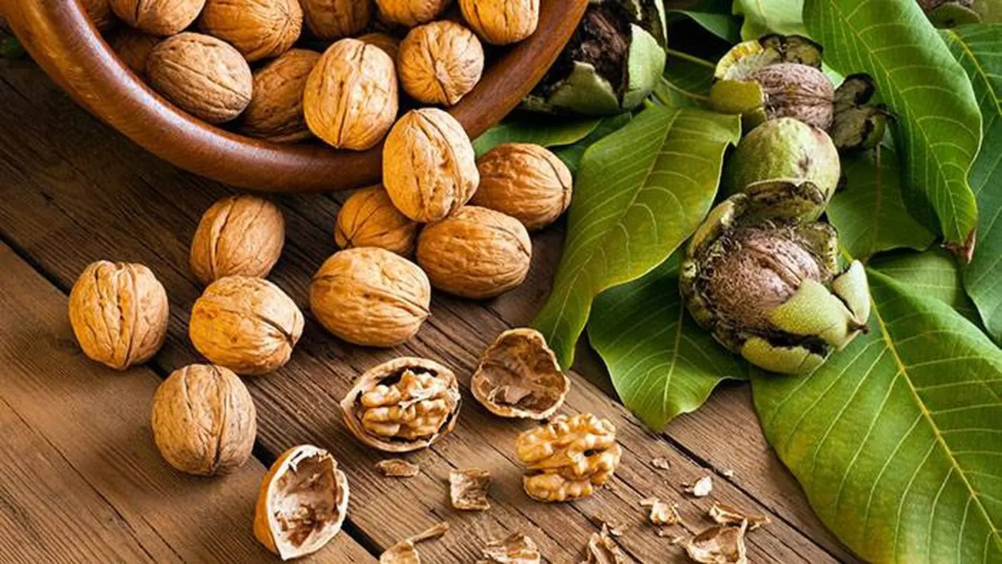 این میوه از پیشرفت سرطان روده بزرگ جلوگیری می‌کند