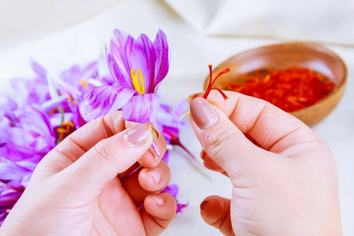 از خواص شگفت انگیز زعفران برای معده چه می دانید؟