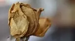 دلیل خشکی واژن بعد از زایمان طبیعی و سزارین، تاثیر در رابطه بعد زایمان