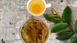 هشدار وزارت بهداشت/ دمنوش برگ انبه نمی‌تواند جایگزین انسولین شود