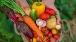 راز جوان ماندن پوست در بشقاب شماست؛ این خوراکی‌ها را بشناسید