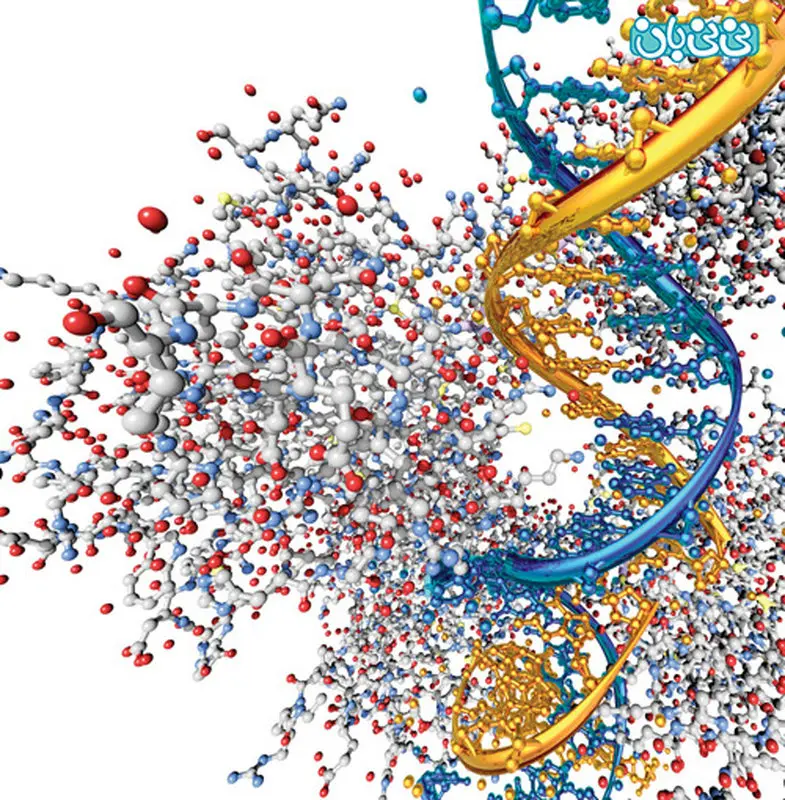 زمان مناسب مشاوره ژنتیک (2)