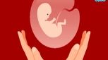 قلب جنین در چند هفتگی تشکیل می شود؟