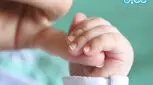 همه چیز درباره آی وی اف