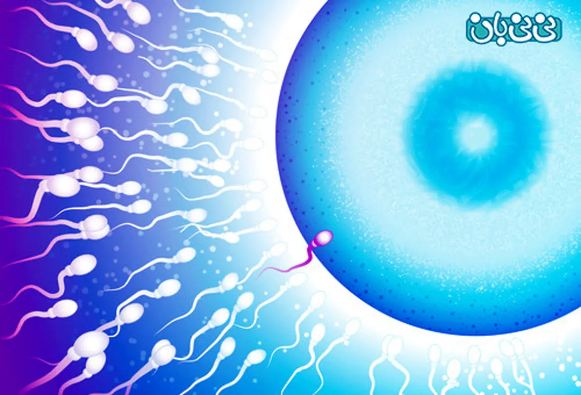 آی وی اف، باید ها و نبایدها