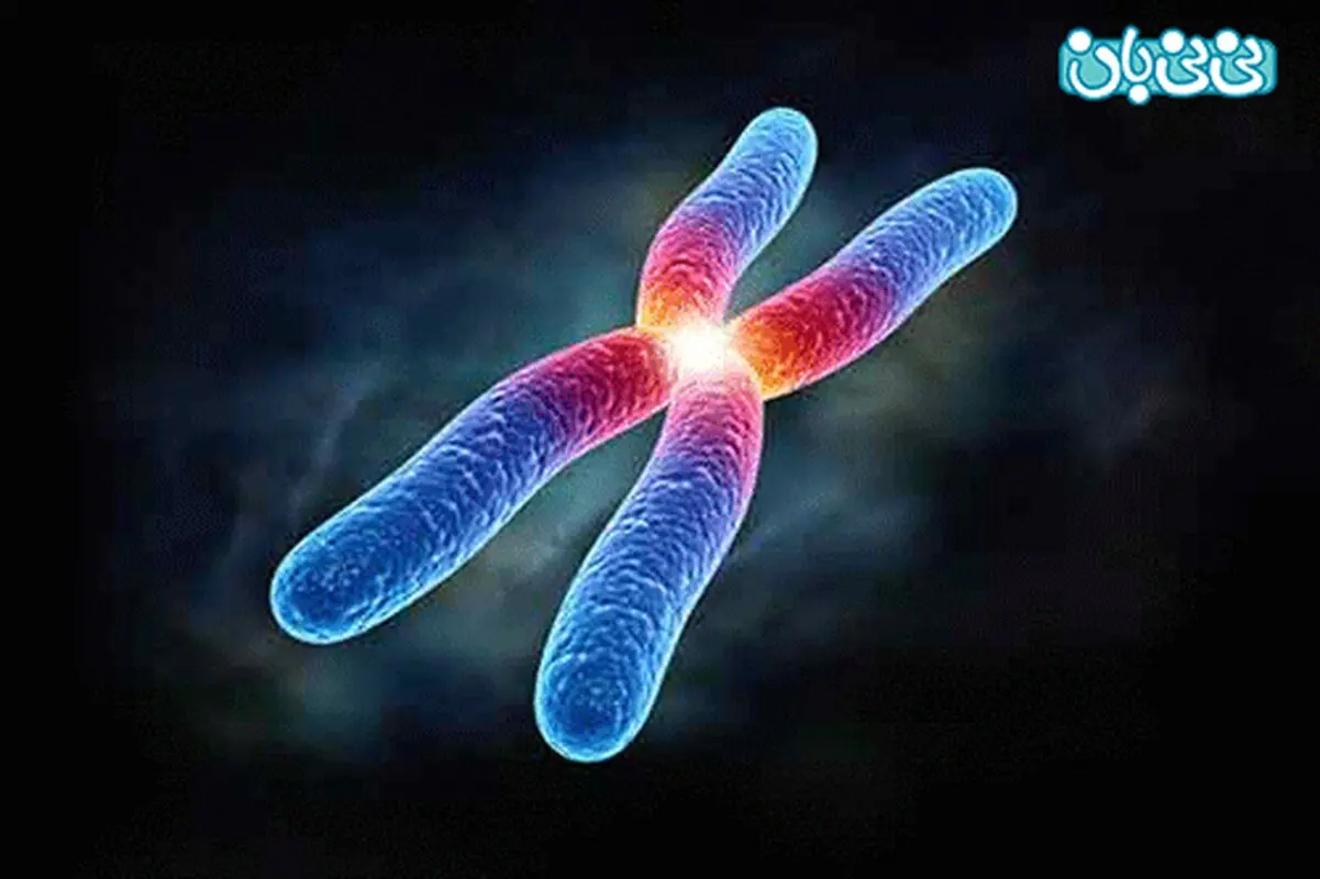 غربالگری 3 ماهه اول