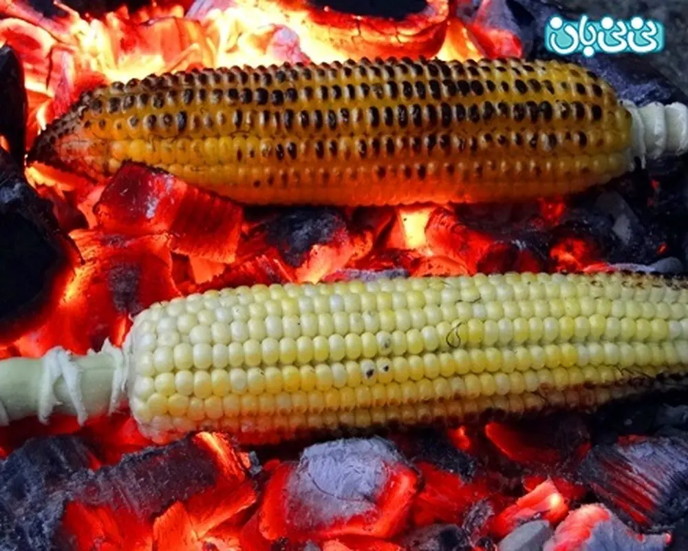 خوردن بلال کباب شده در بارداری مجاز است؟