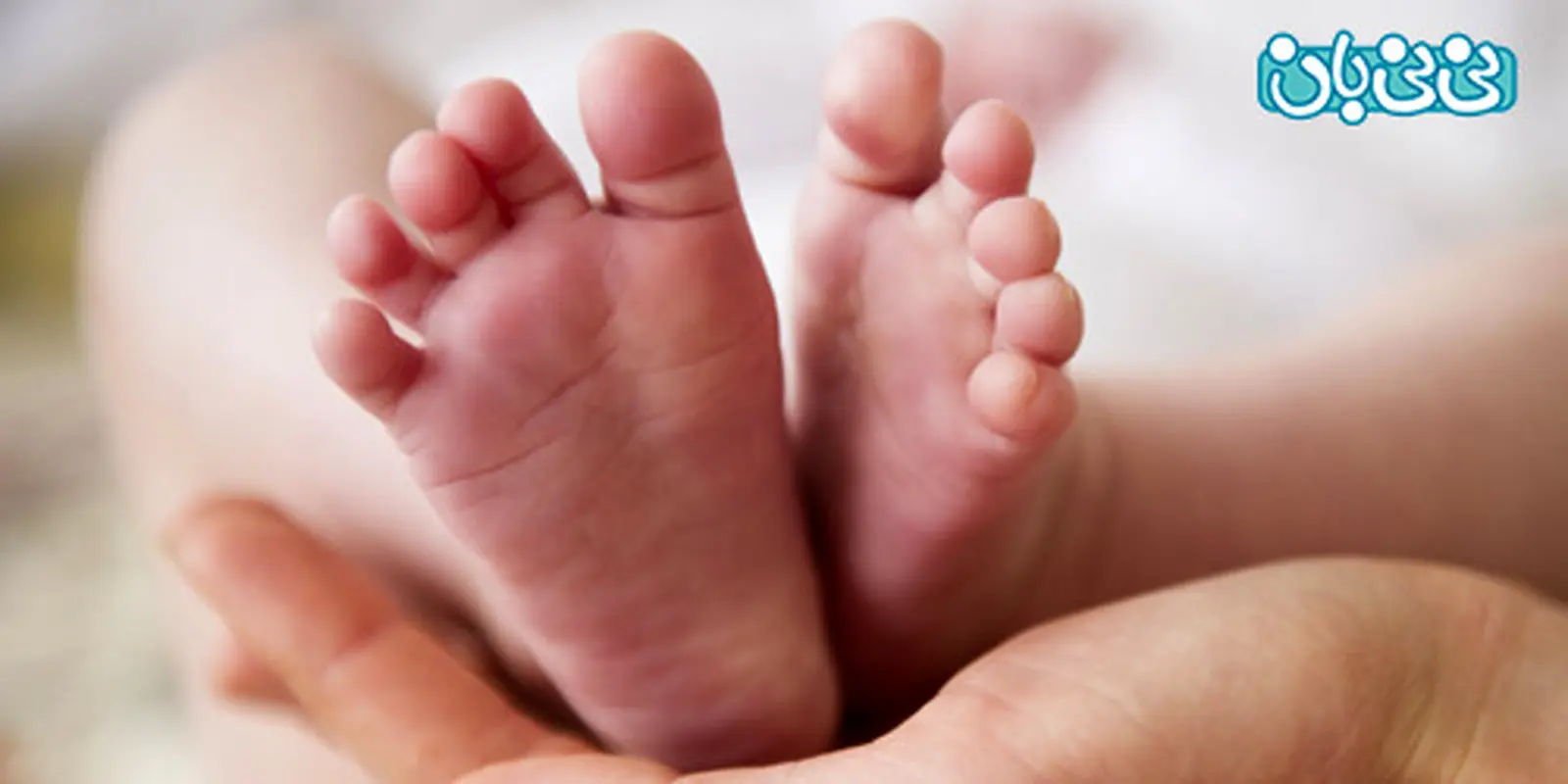 اولین نوزاد آزمایشگاهی ایران (2)