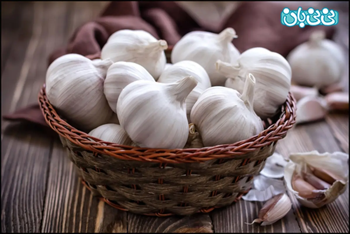 مصرف سیر در بارداری، احتیاط کنید!