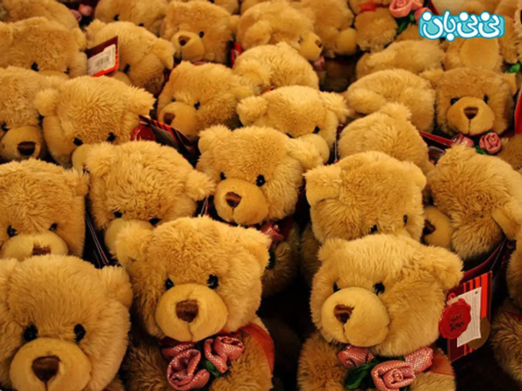 سیسمونی و خریدهای غیرضروری (2)