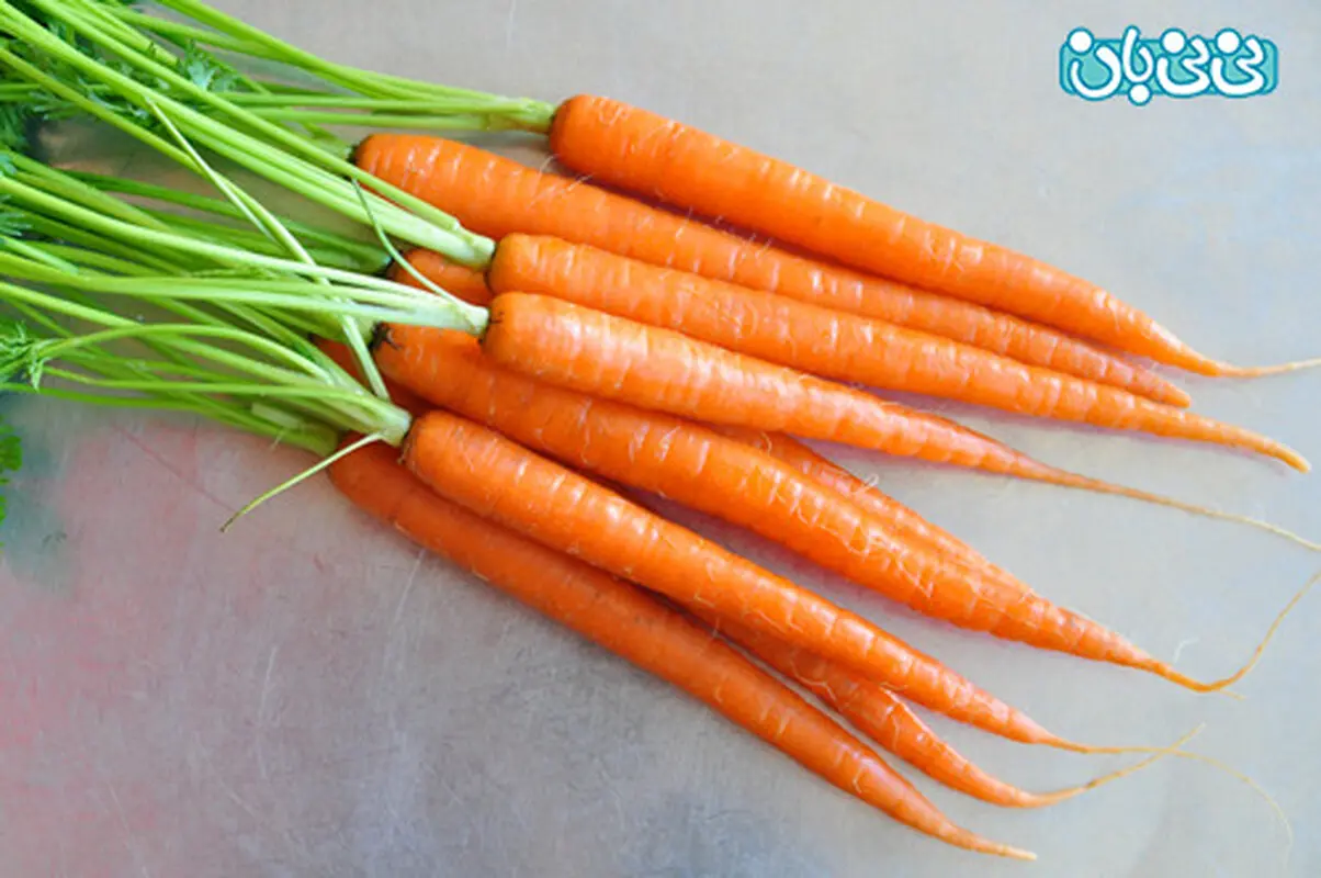 میان وعده کودکان چاق، نظر متخصص تغذیه