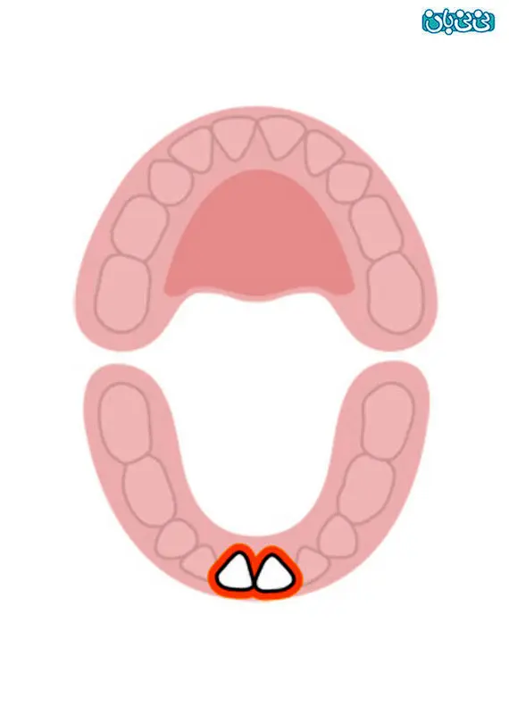 تصویری: دندان درآوردن نوزاد
