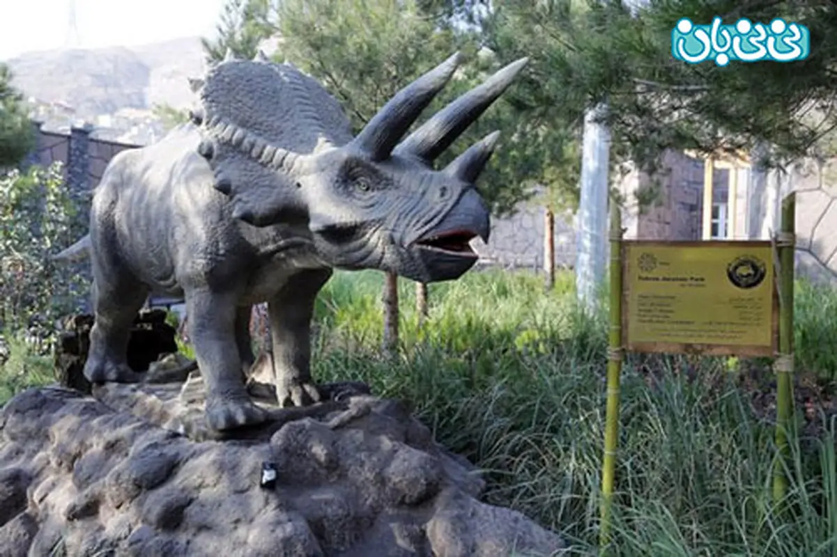 تفریح برای کودکان، کجا بریم؟