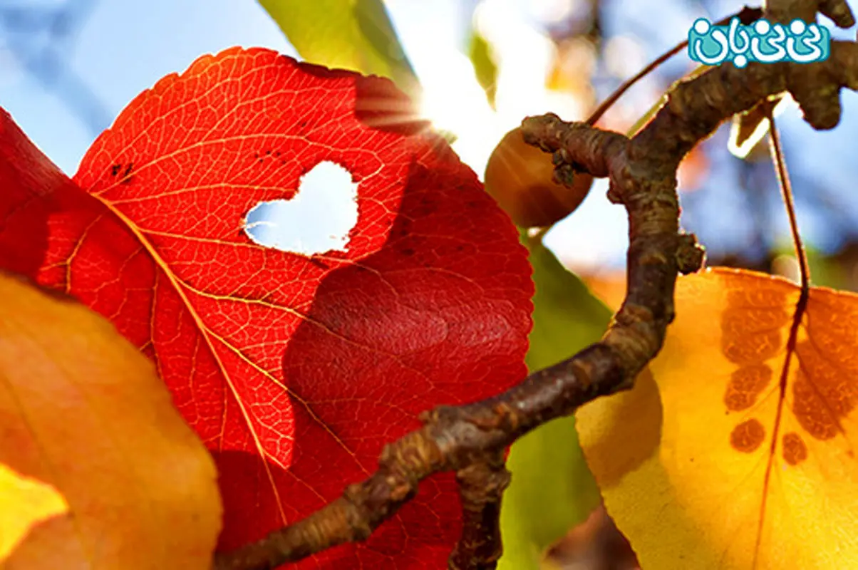 لذت در روابط زناشویی، چه زمانی زیاد می‌شود؟