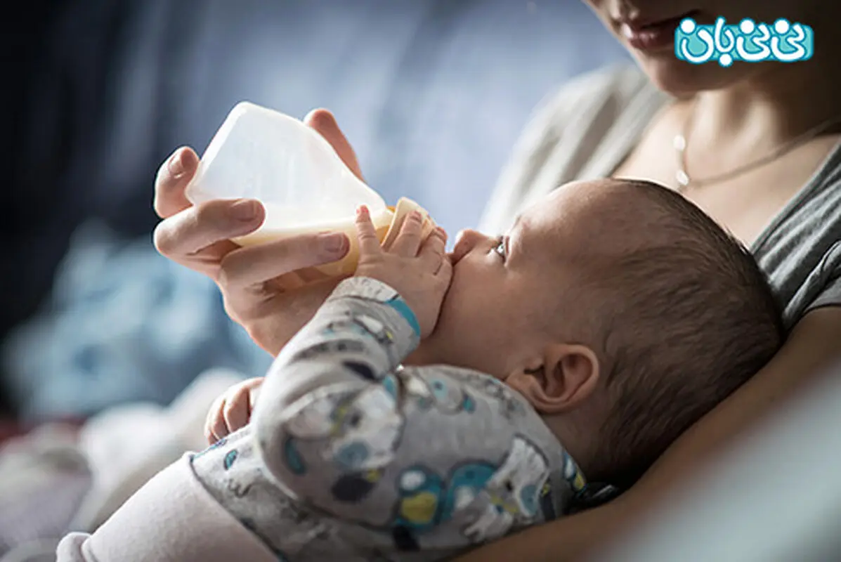 شیر گاو را چگونه جایگزین شیر مادر کنیم؟(2)