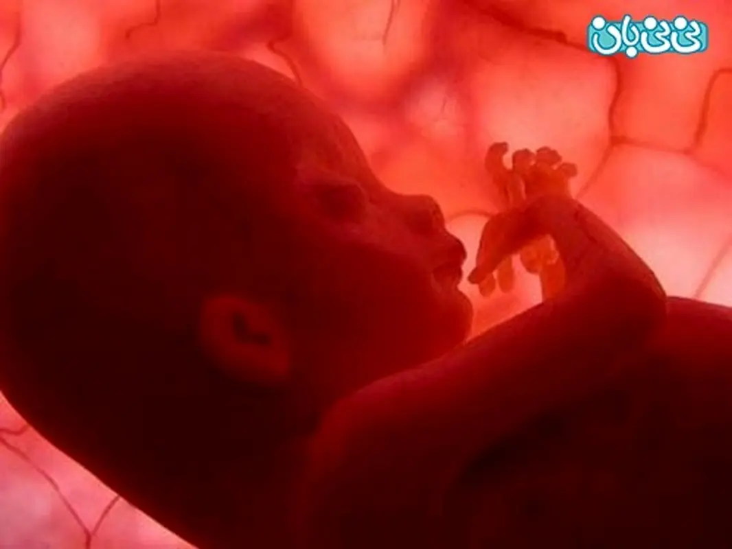 جنین‌ها در رحم مادر شیر می‌خورند!