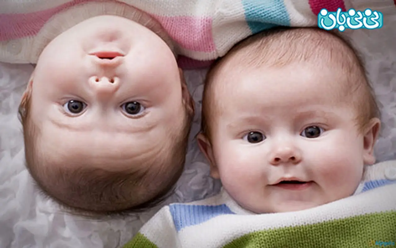 دوقلوهایی که شبیه هم نیستند؟ (2)