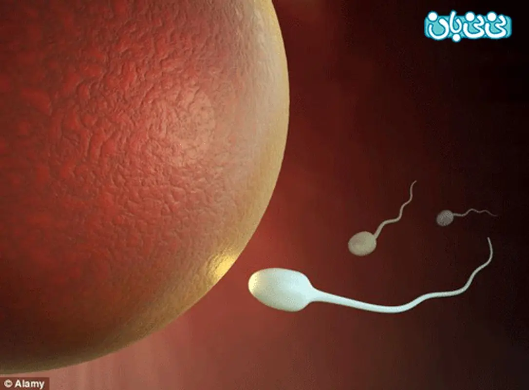 میزان طبیعی اسپرم چقدر است؟