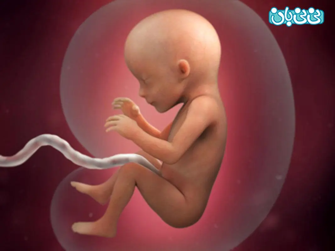 دلایل سقط خودبخودی جنین