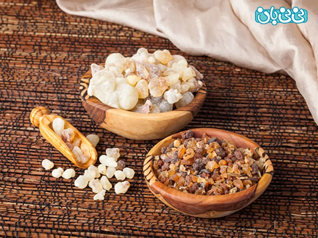از چند ماهگی کندر بخورم؟