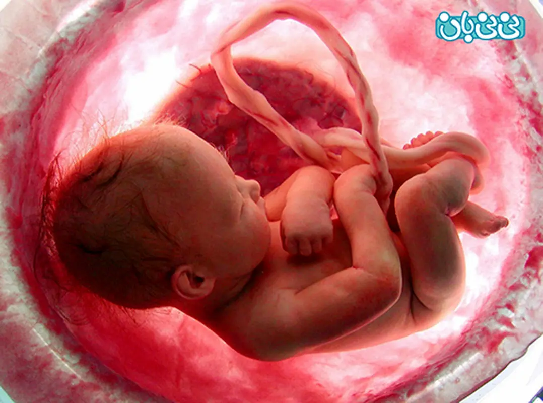 اثرات صحبت کردن روزانه با جنین