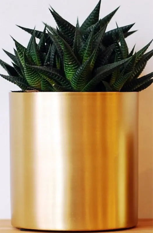 قصه صوتی کودکانه، هری و گلدان برنجی